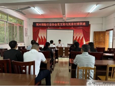 賀州保險行業協會 黨建引領聚合力，普惠金融促發展